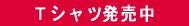 �s�V���c�������I
