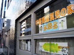 写真2